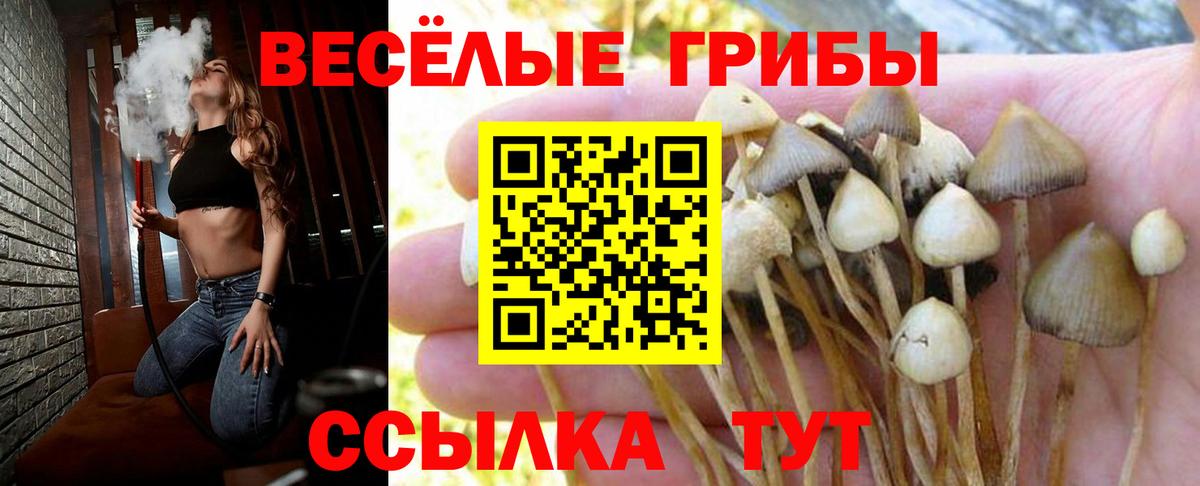 Ефремов  Галлюциногенные грибы ЛСД  Вход с VPN 